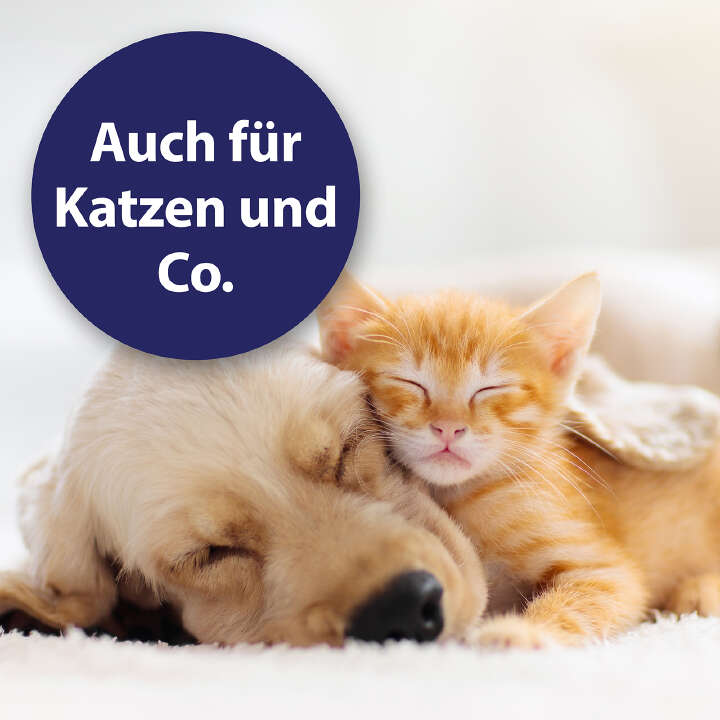 Canosept Wundspray für Hunde 75 ml